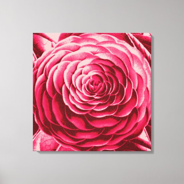 Large Camellia, Shades of Wine and Pink Canvas Print (Front)