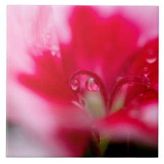 Large Ceramic Photo Tile "Caught"