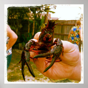 Large Crawfish Photo Poster