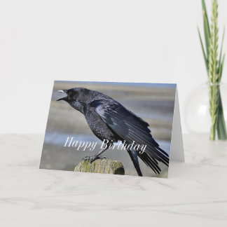 Large crow squawking card