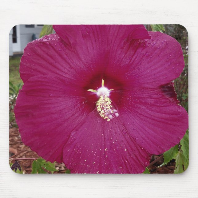 large dark red Hibiscus Mouse Pad (Front)