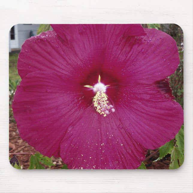 large dark red Hibiscus Mouse Pad (Front)