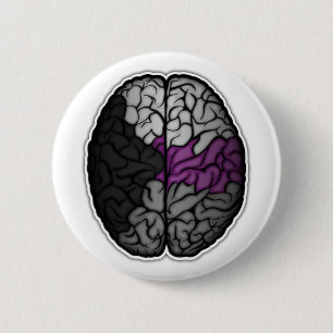 Large Demisexual Pride Flag Colored Brain Vector 2 Inch Round Button
