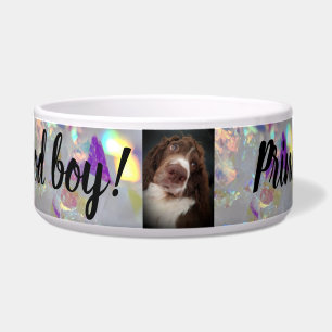 Large dog bowl