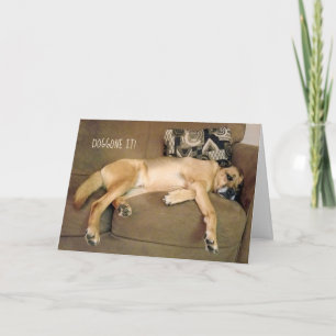 large dog on couch for belated birthday card