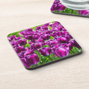 Large field of purple tulips  coaster