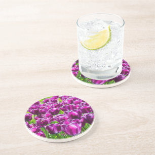 Large field of purple tulips  coaster
