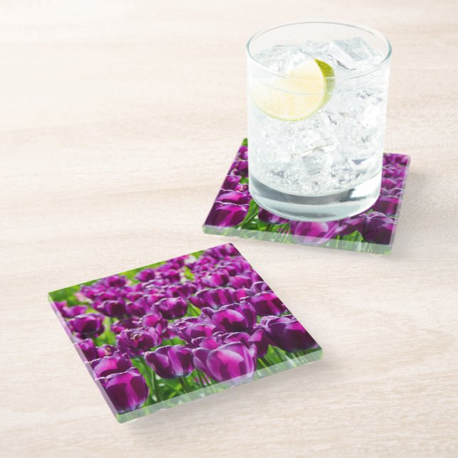 Large field of purple tulips  glass coaster (Angled)