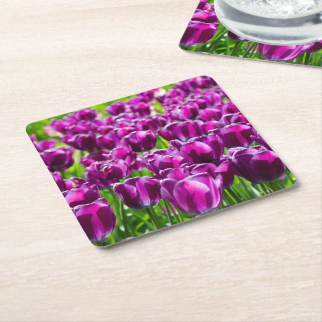 Large field of purple tulips square paper coaster (Angled)