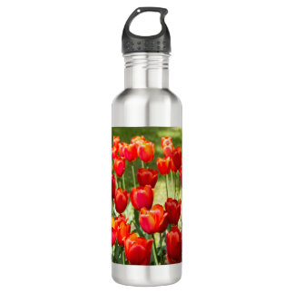 Large field of red tulips 710 ml water bottle