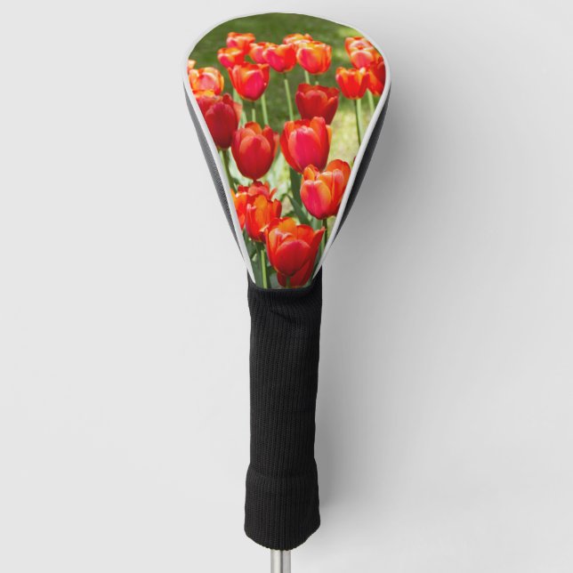 Large field of red tulips jigsaw  golf head cover (Front)