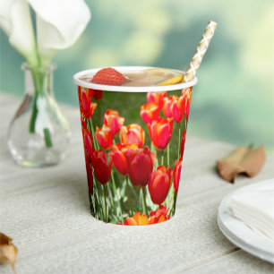 Large field of red tulips paper cups
