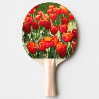 Large field of red tulips ping pong paddle