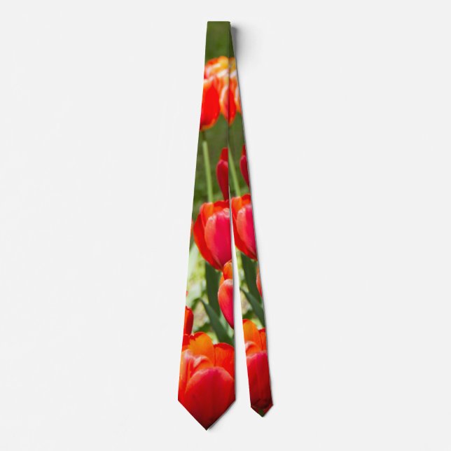 Large field of red tulips   tie (Front)