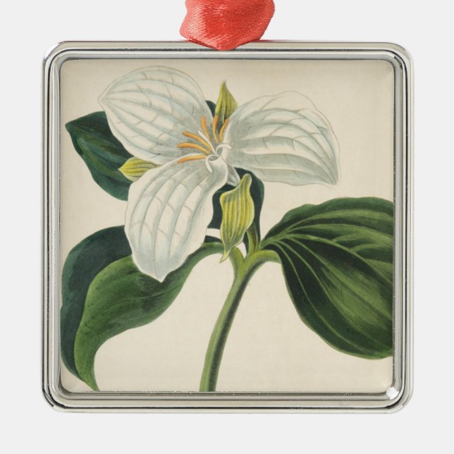 Large Flowered Trillium Metal Ornament (Front)