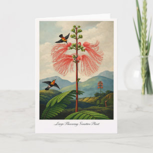Large Flowering Sensitive Plant — Modern Botanical Card