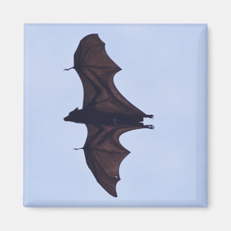 Large Flying  Bat Magnet