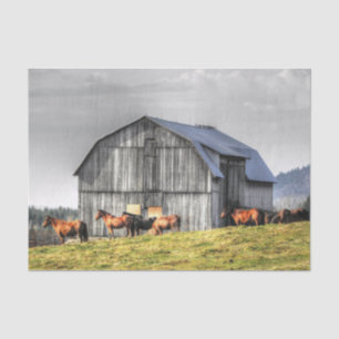 Large Grey Barn and Majestic Horses  Tissue Paper