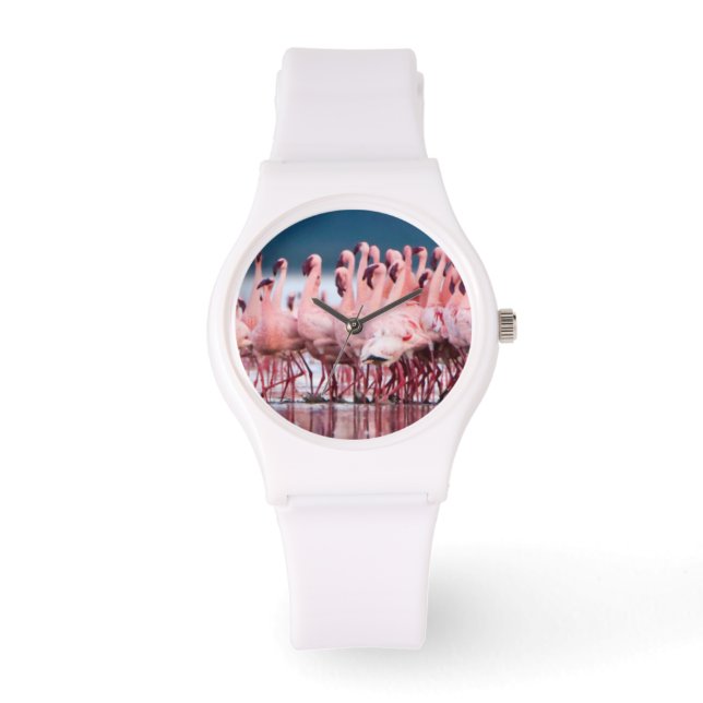 Large Group Of Lesser Flamingos Watch (Front)
