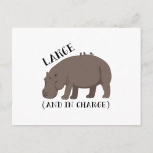 Large Hippo Postcard