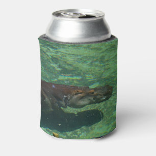 Large Hippo Swimming Under Water. Can Cooler