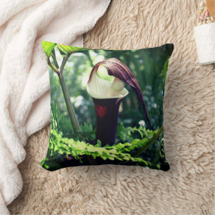 Large Jack In The Pulpit Flower Close Up Throw Pillow