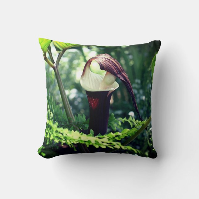 Large Jack In The Pulpit Flower Close Up  Throw Pillow (Front)