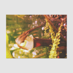 Large Jack In The Pulpit Flower Vintage Decoupage Tissue Paper