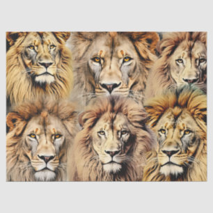 Large King of the Jungle Faces Decoupage  Tissue Paper