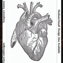 Large Labelled Vintage Anatomical Heart, Black