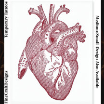 Large Labelled Vintage Anatomical Heart, Red