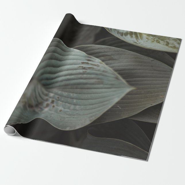 Large Leaf   Wrapping Paper (Unrolled)