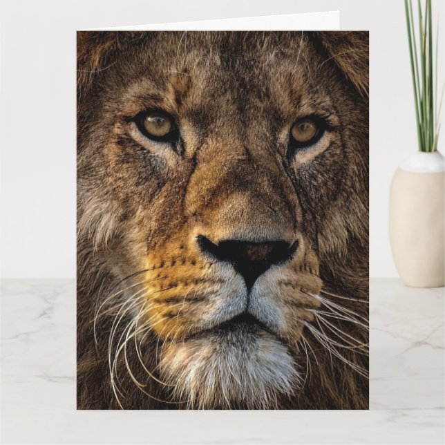 Large Lion Face Folded Greeting Card (Front)