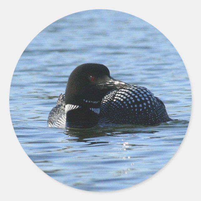 Large Loon Stickers (Front)
