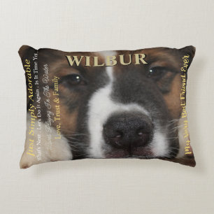 Large Magazine Styled Pet Accent Pillow