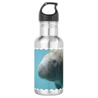 Large Manatee Underwater