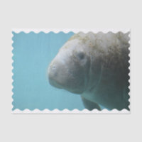 Large Manatee Underwater