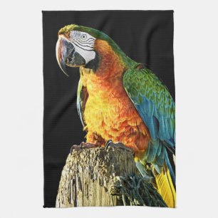 Large Orange and Teal Parrot on a Stump Kitchen Towel