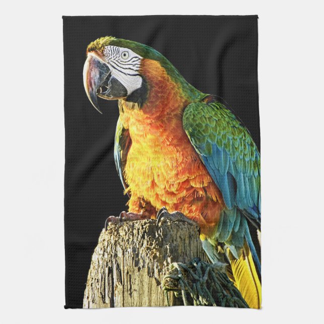 Large Orange and Teal Parrot on a Stump Kitchen Towel (Vertical)