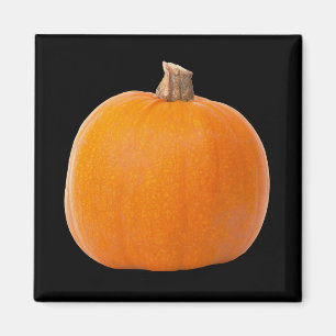 Large Orange Fall Harvest Pumpkin Magnet
