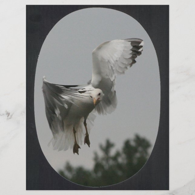 Large Oval Frame(black)   (Front)