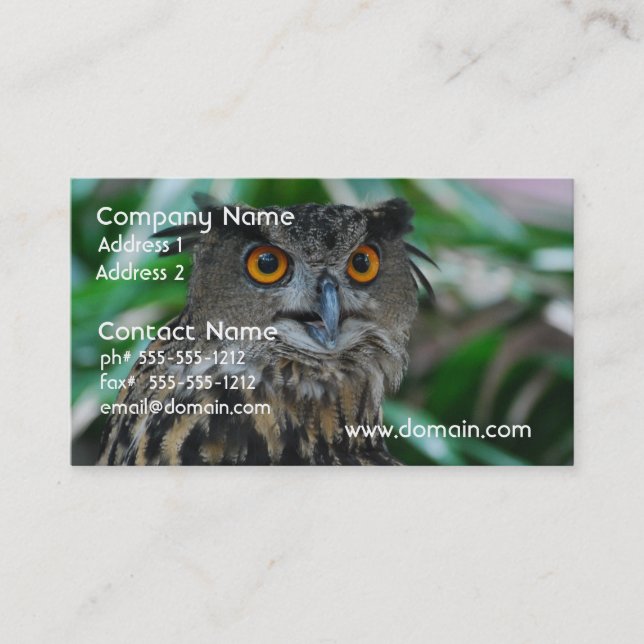 Large Owl Business Cards (Front)