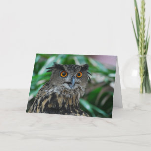 Large Owl Greeting Card