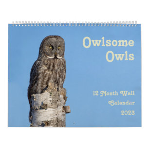 Large Owl Wall Calendar