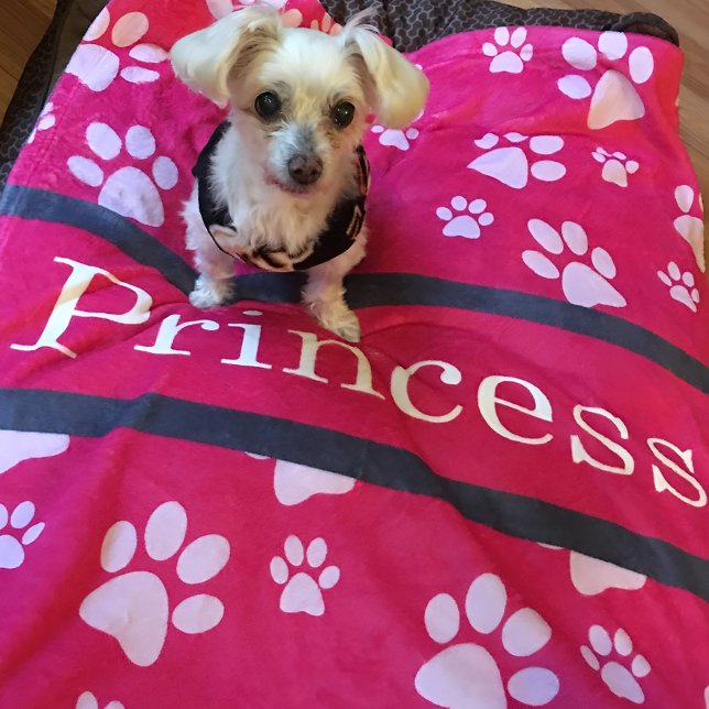 Large Paw Print Pink Blanket Custom Dog Name (Cozy dog blanket gift for dog lovers. Personalize with dog name and favorite color)