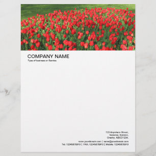 Large Picture Header - Bed of Red Tulips 02 Letterhead
