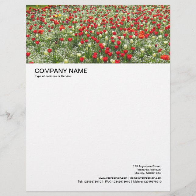 Large Picture Header - Bed of Tulips Letterhead (Front)