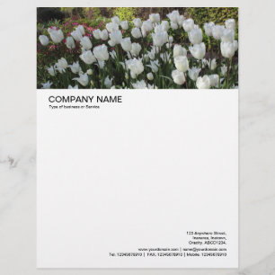 Large Picture Header - Bed of White Tulips Letterhead