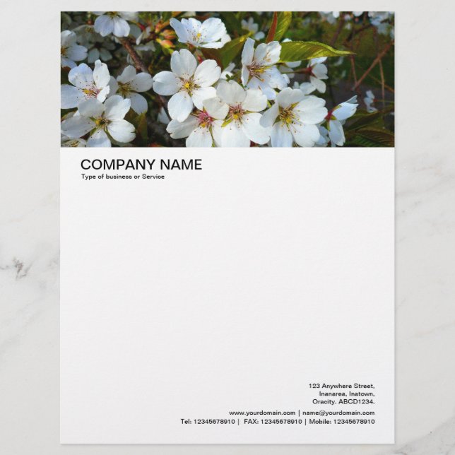 Large Picture Header - Cherry Blossom 02 Letterhead (Front)