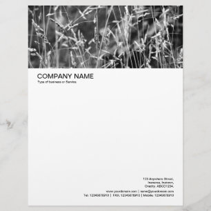 Large Picture Header - Grass Abstract 02 Letterhead